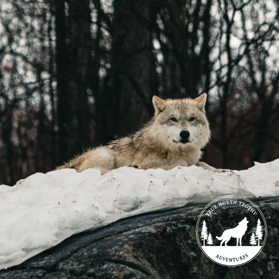 True North Hunting Reminder